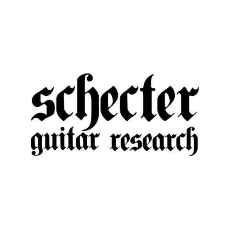 schecter guitar